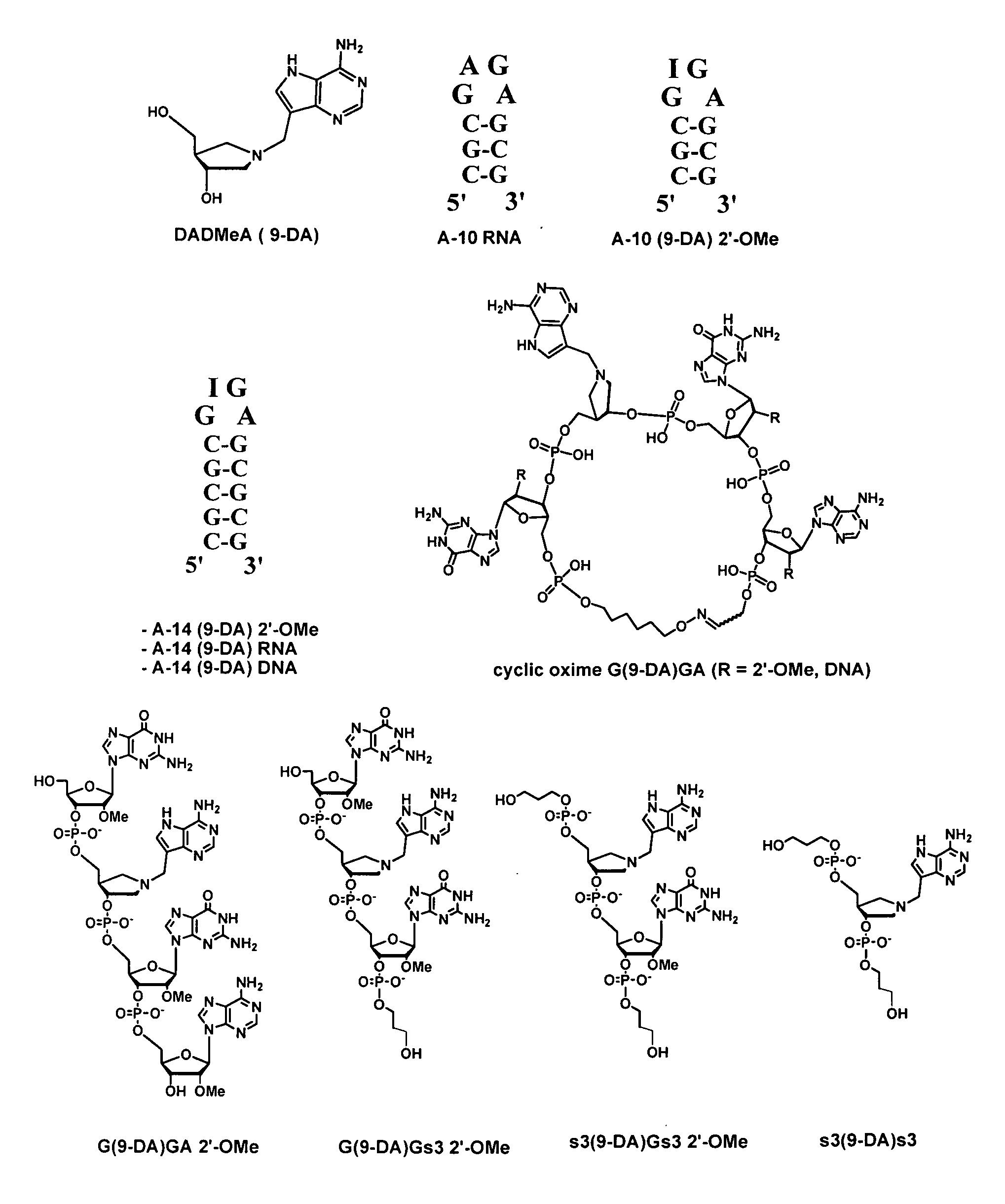 Saporin-L1 inhibitors and uses thereof