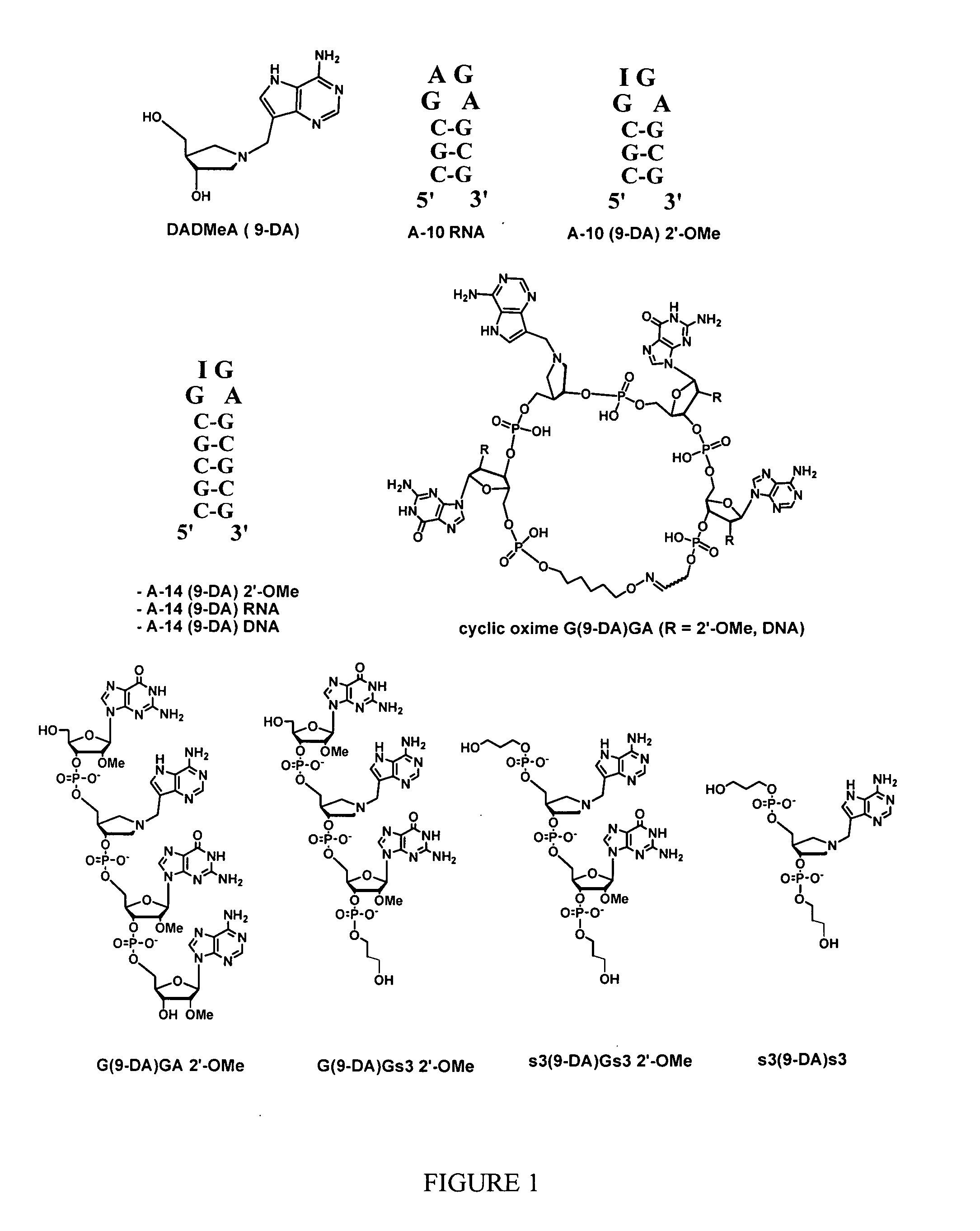 Saporin-L1 inhibitors and uses thereof