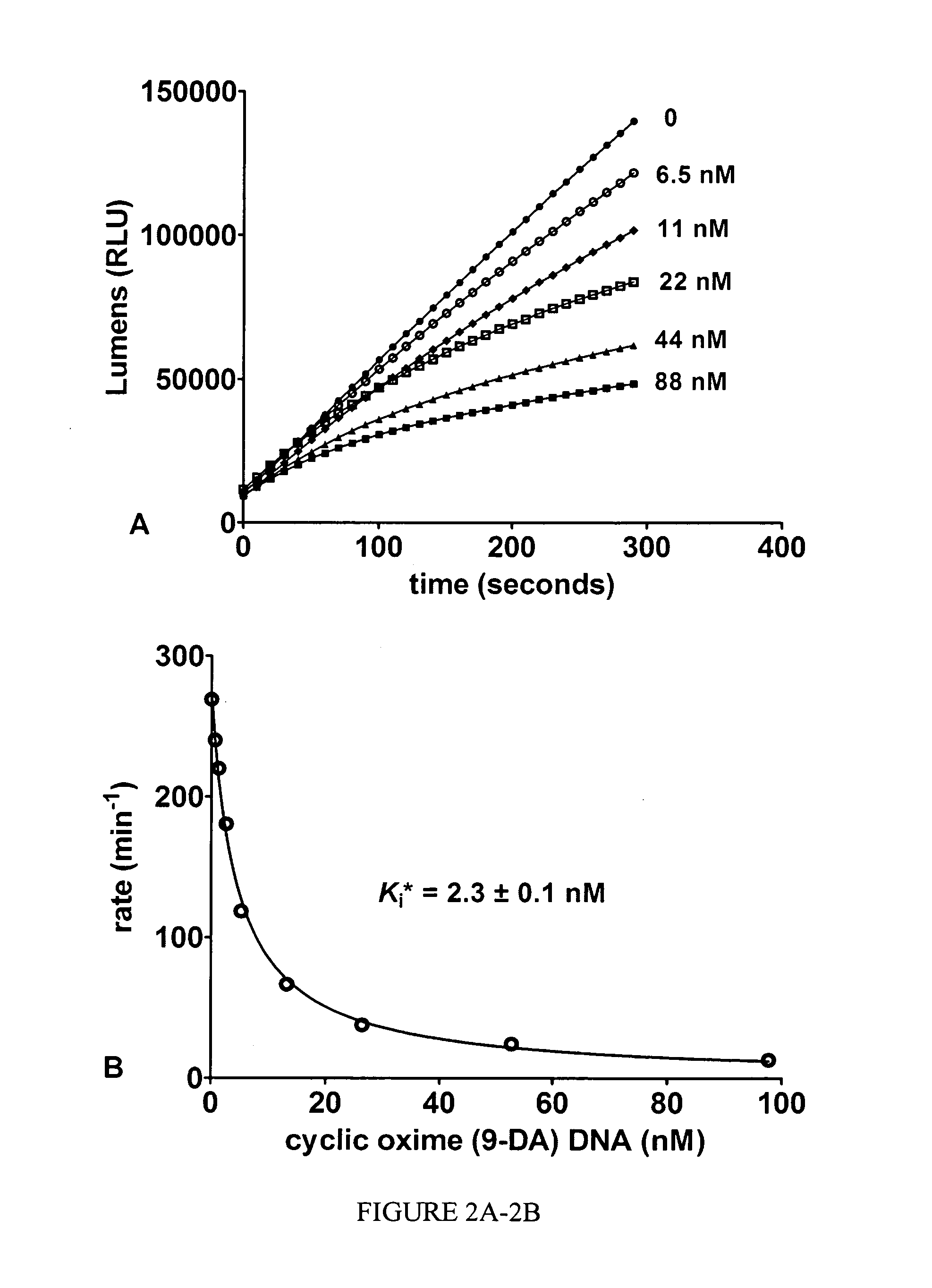 Saporin-L1 inhibitors and uses thereof