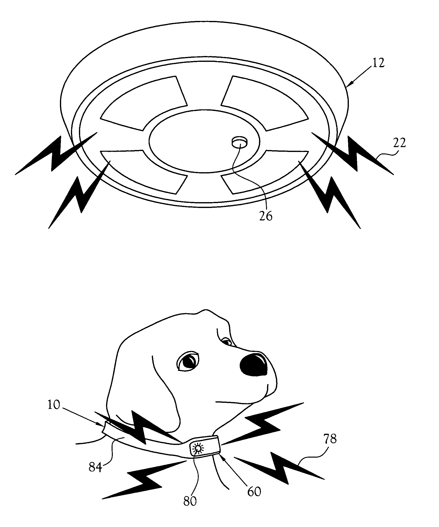 Pet alert collar