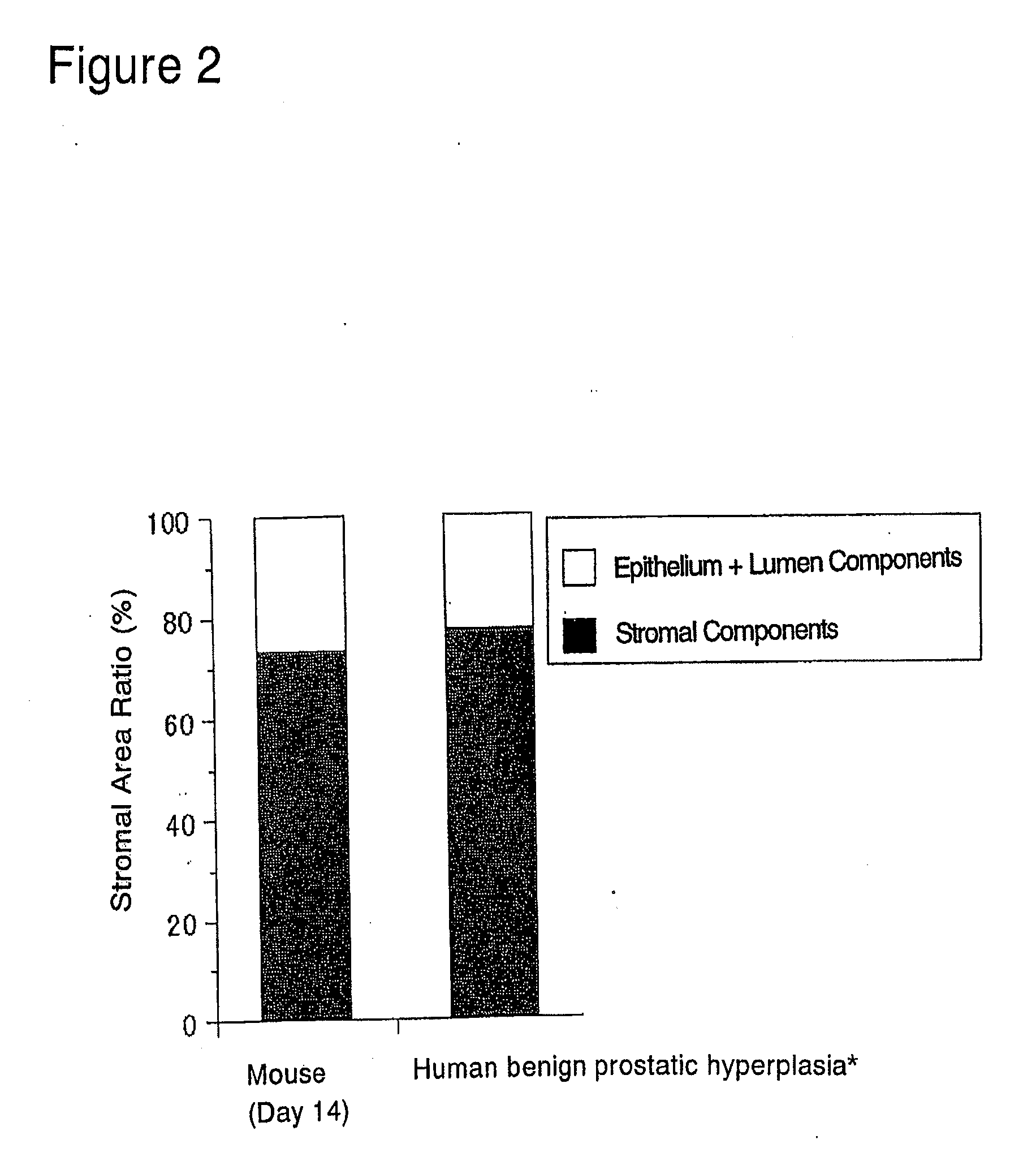 Animal model for prostatic stromal hyperplasia