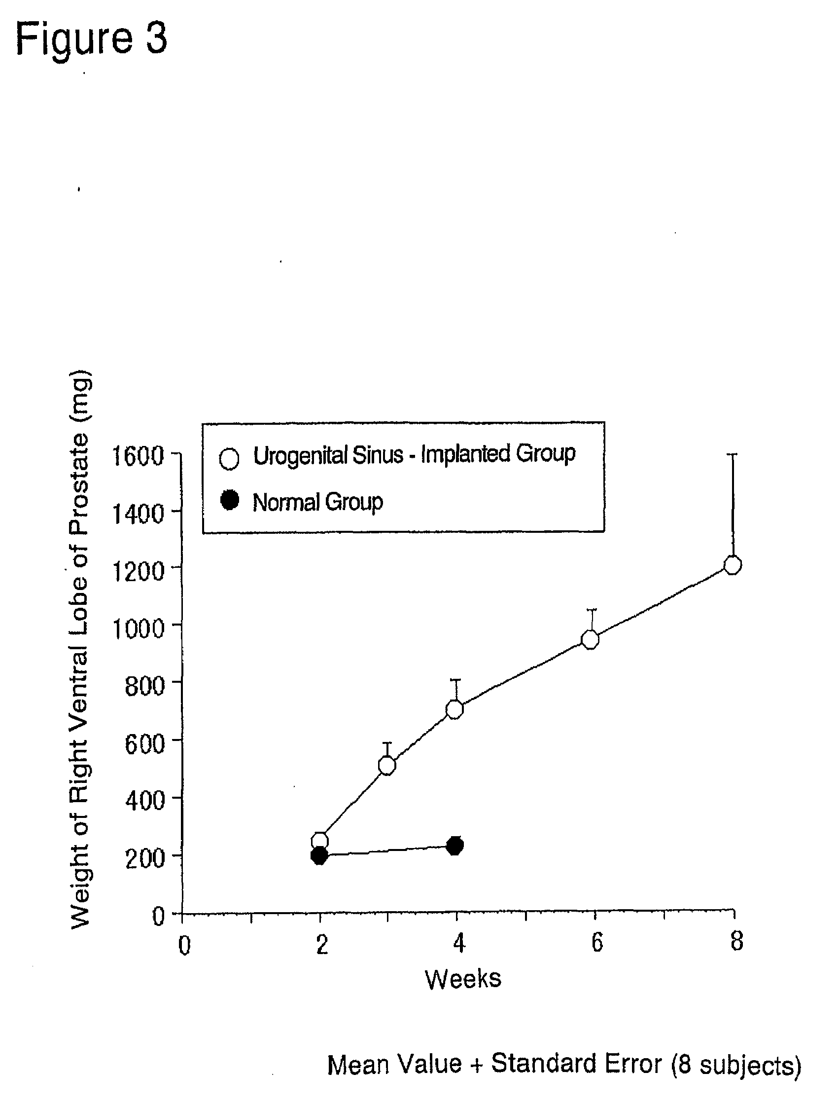 Animal model for prostatic stromal hyperplasia