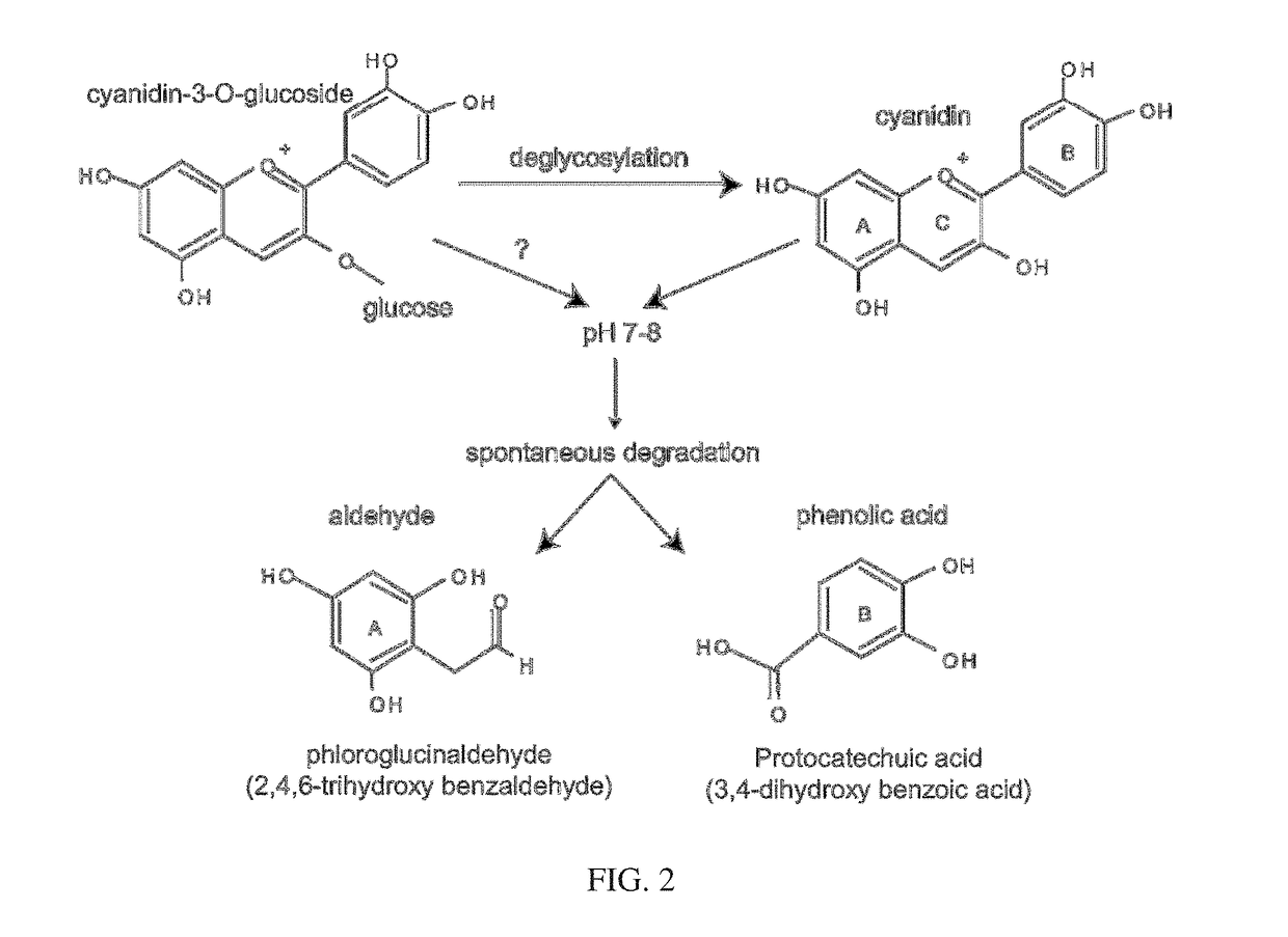 Antimicrobials and methods of use thereof