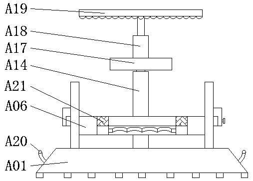 Fixing clamp for biological experiments