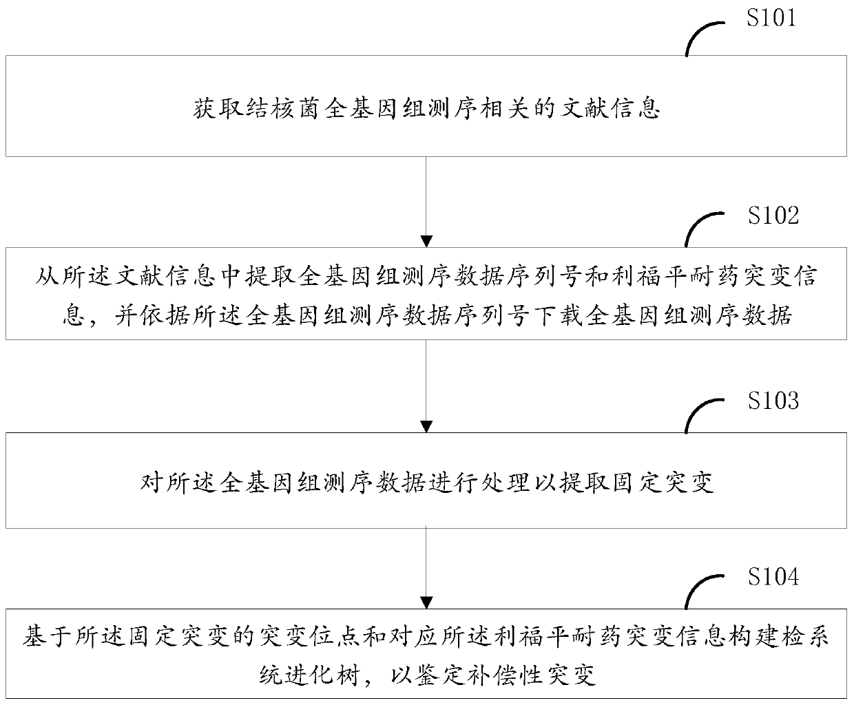 Rifampicin drug-resistant tubercle bacillus detection method, device and equipment, and storage medium