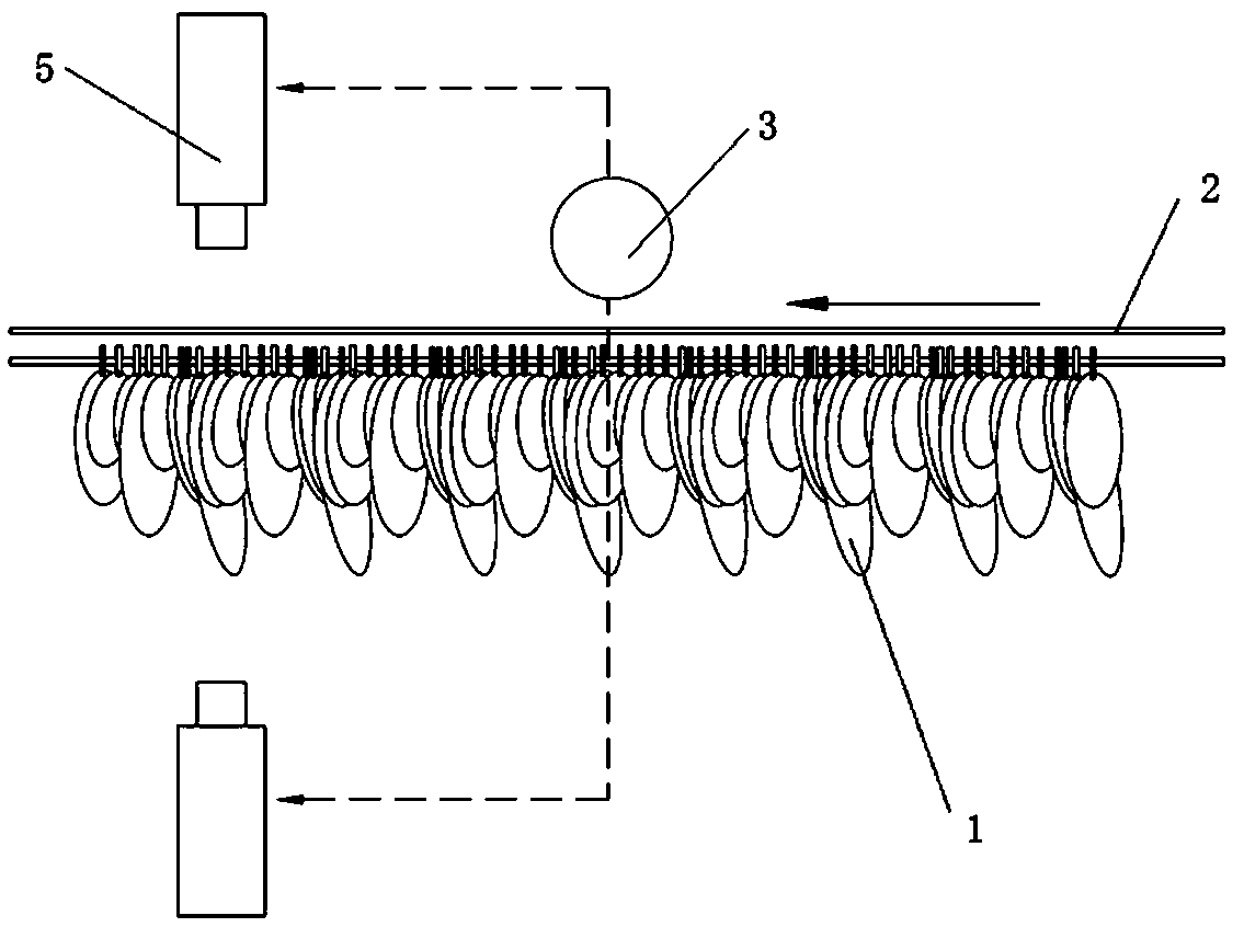 A continuous cascading image acquisition method for sorting large-leaf crops