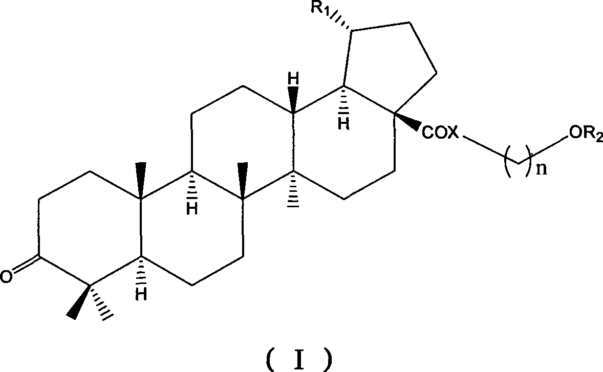 Betulinic acid analogue and preparation method and application thereof