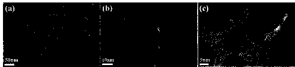 Nano magnesium oxide doped biomass graded porous carbon/sulfur anode and preparation method thereof, and application of nano magnesium oxide doped biomass graded porous carbon/sulfur anode