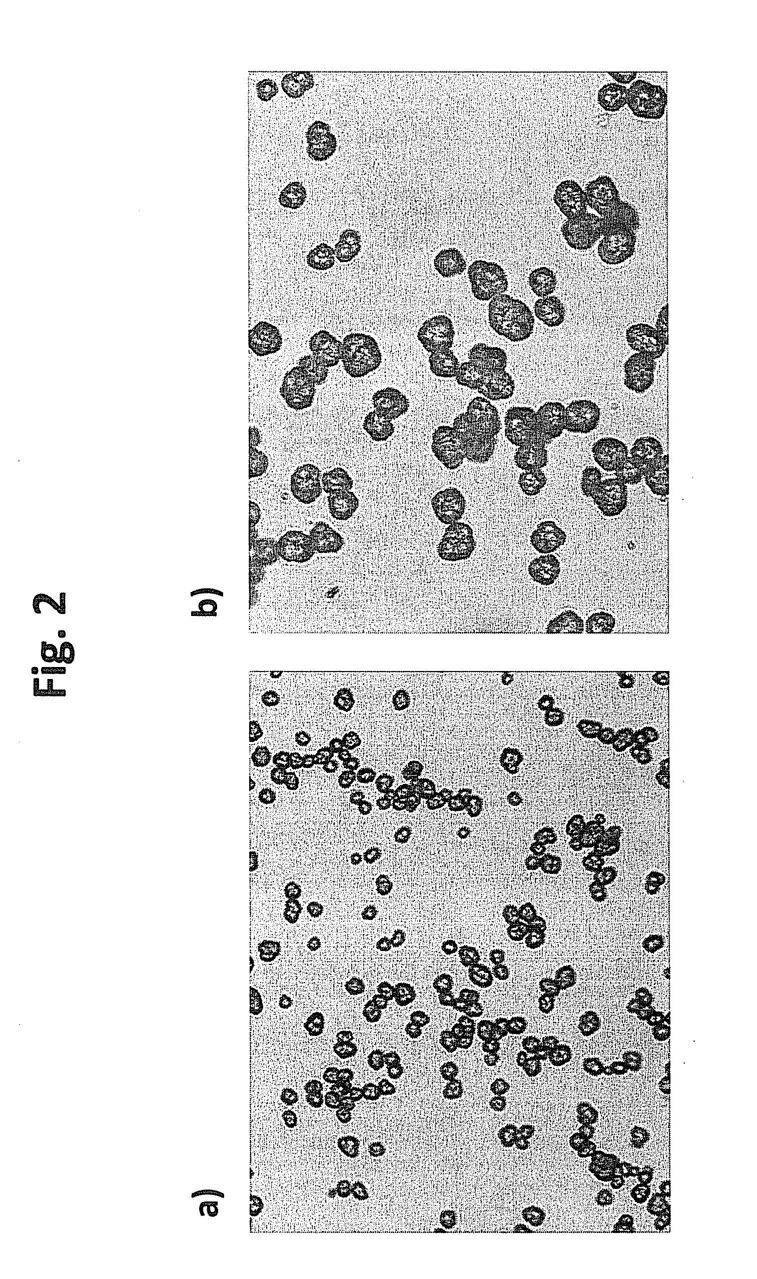 Positive electrode materials for high discharge capacity lithium ion batteries