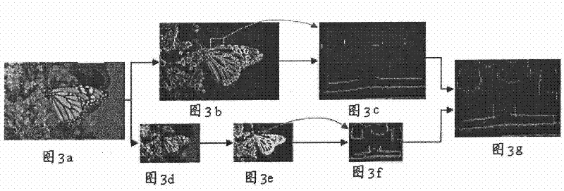 Image reference-free quality evaluation method and system based on gradient profile