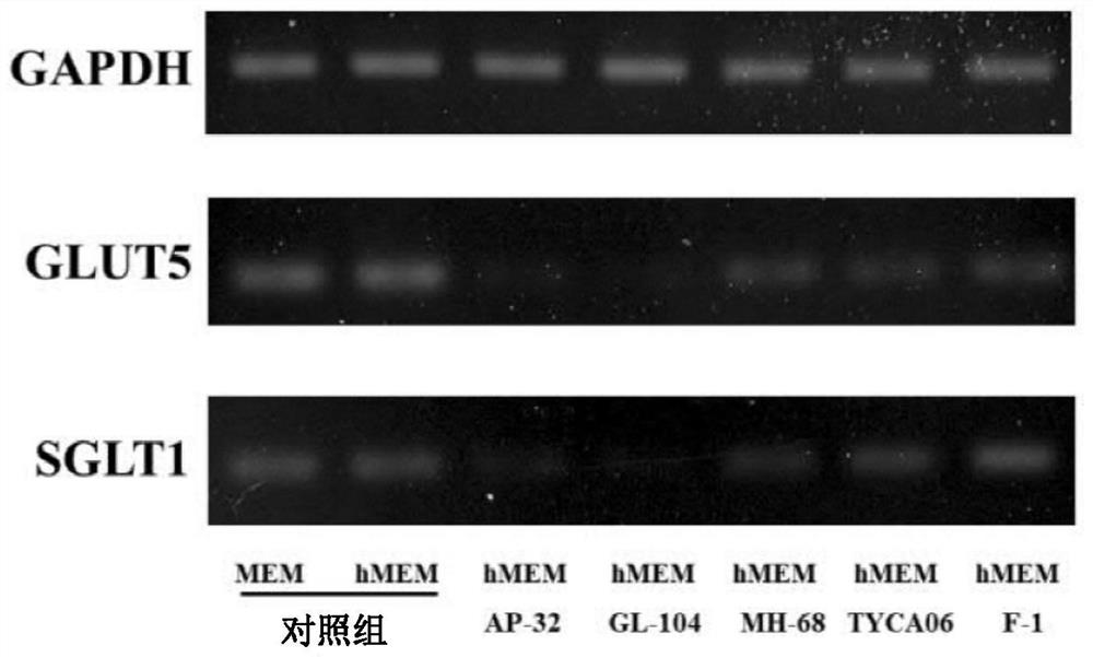 Food composition and pharmaceutical composition with strains of lactic acid bacteria for modulating blood glucose