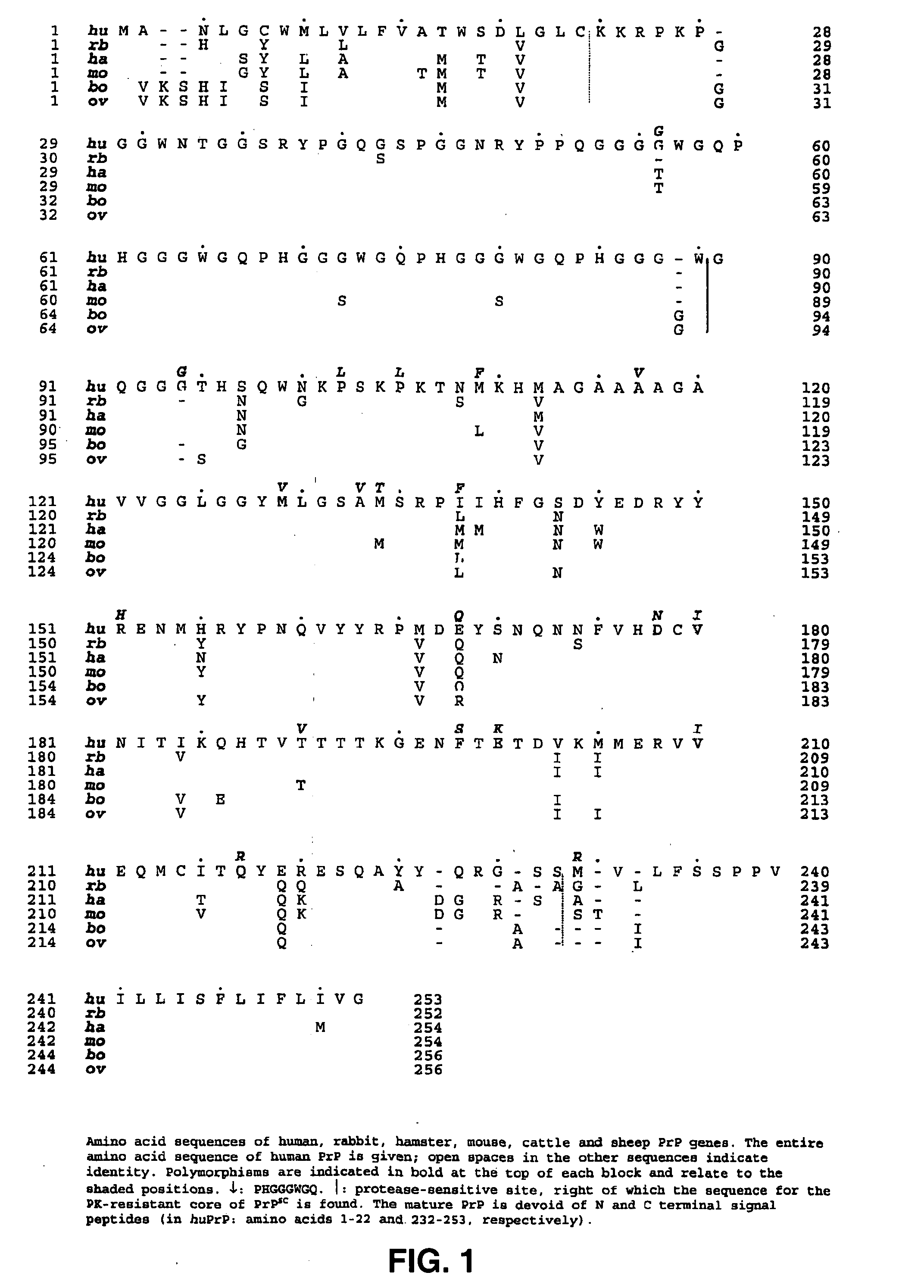 Prion test