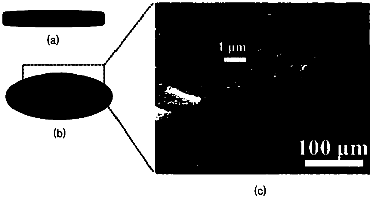 Electrode structure, electrode, power device and method for manufacturing the same