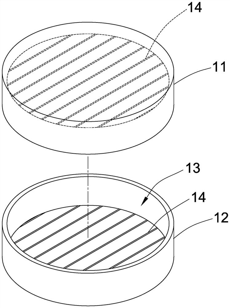 Rapid barbecue device