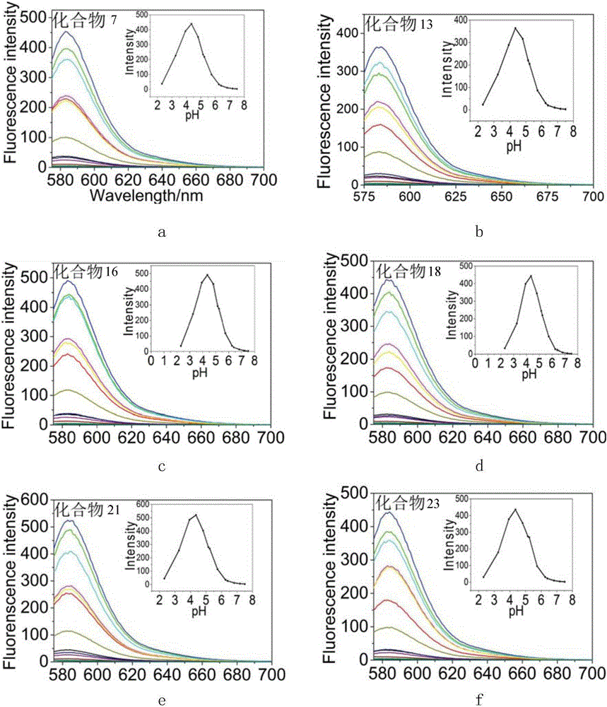 Two/three-cluster glycosyl rhodamine derivative and preparation method and application thereof