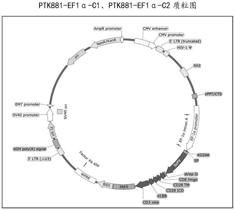 Application of chimeric antigen receptor taking CD99 as target in combination with anti-tumor drugs