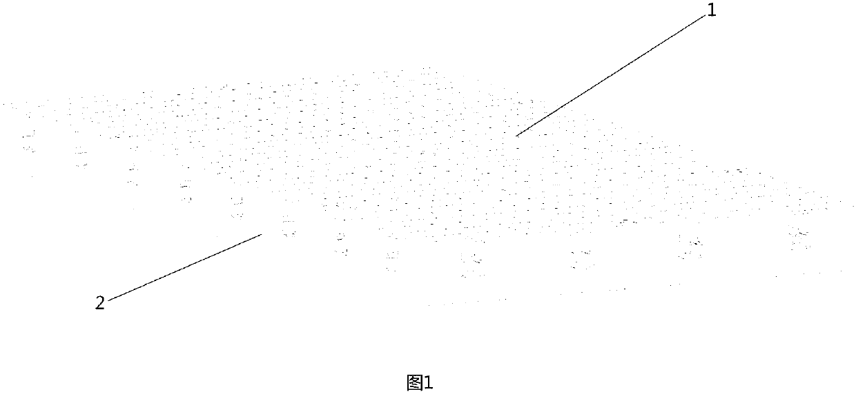 Long-fiber reinforced thermoplastic composite material of longitude and latitude glass fiber surface, and molding method and application thereof