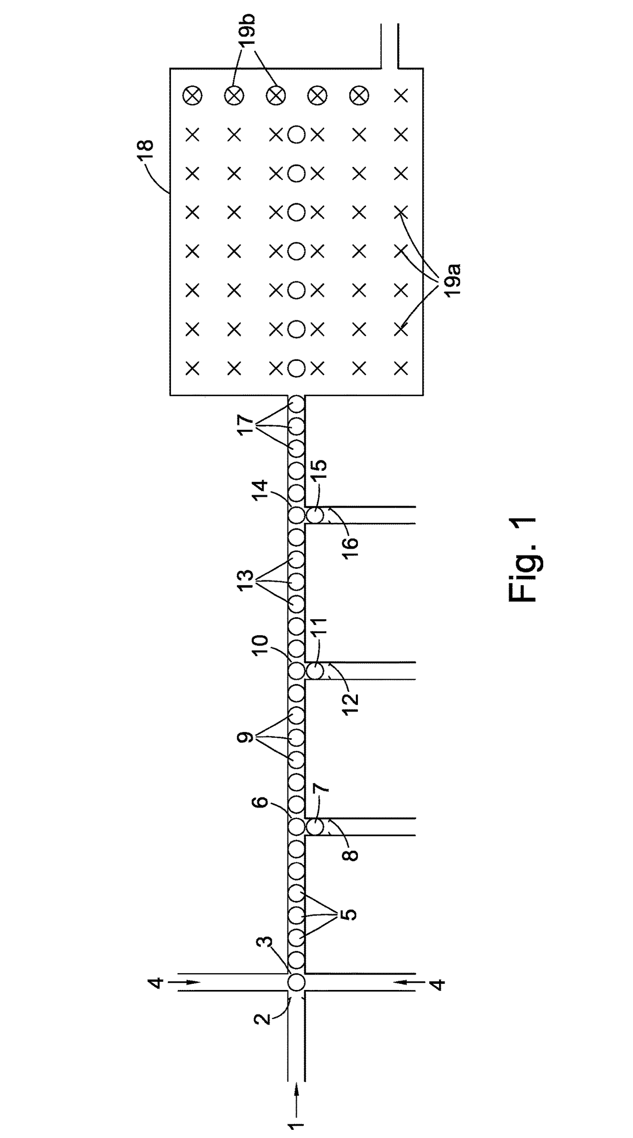 Single nucleotide detection method