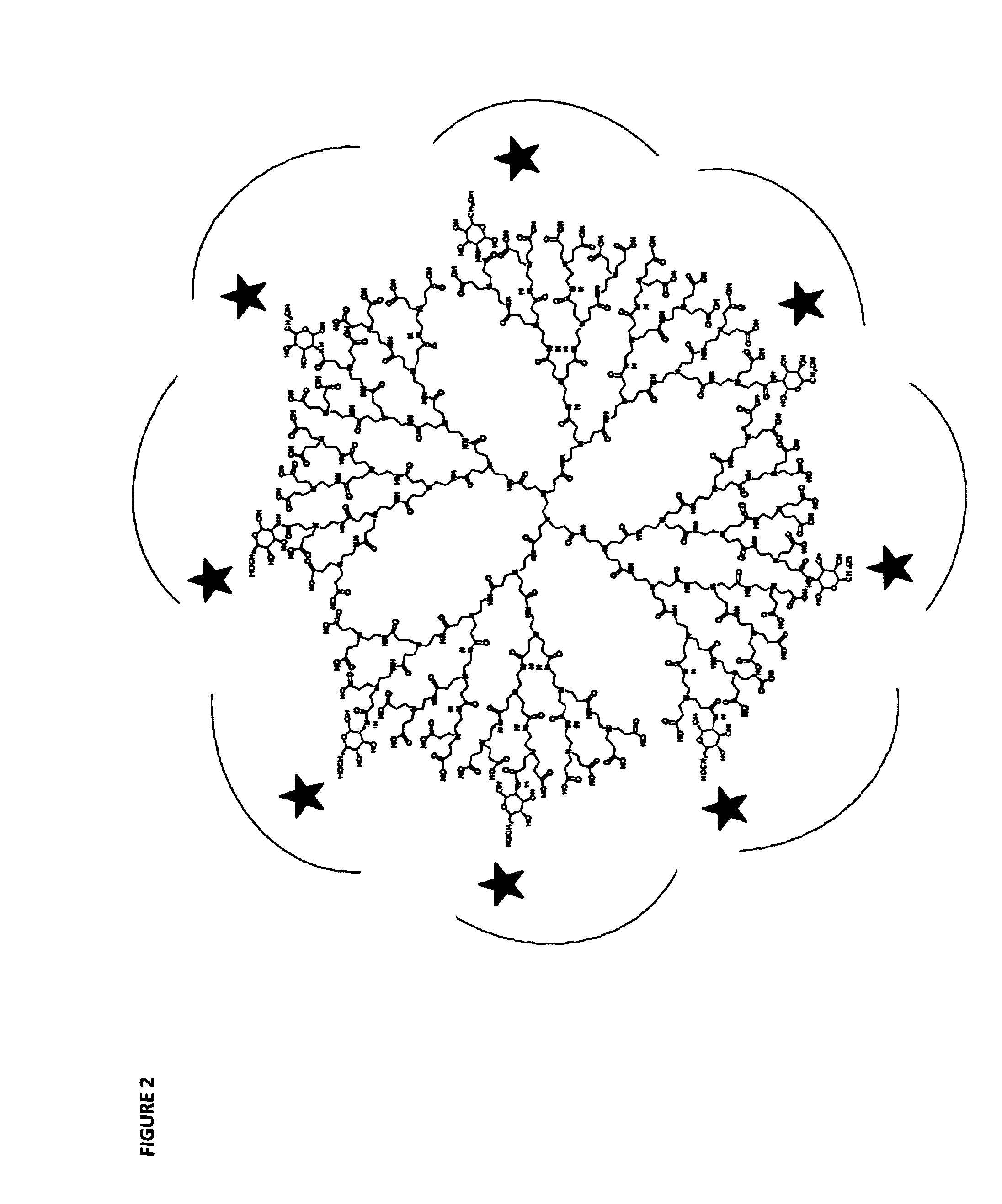 Glycodendrimers of polypropyletherimine