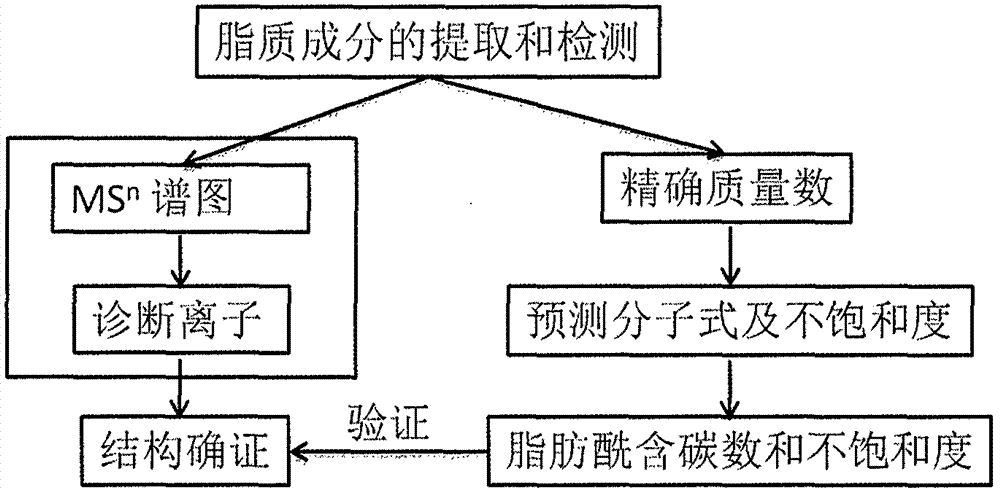 Method for identifying lipid component structure in lipidomics based on CID fragmentation