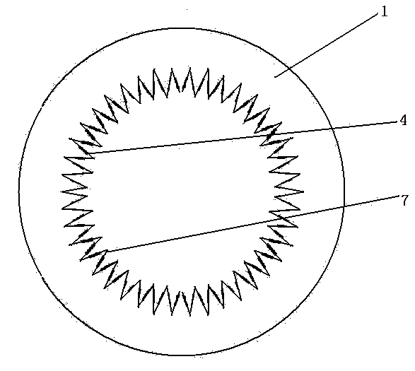 Antimicrobial self-cleaning PPR pipe