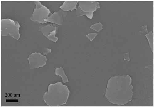 Preparation method and application of CoFe2O4 nanosheet oxygen evolution catalyst