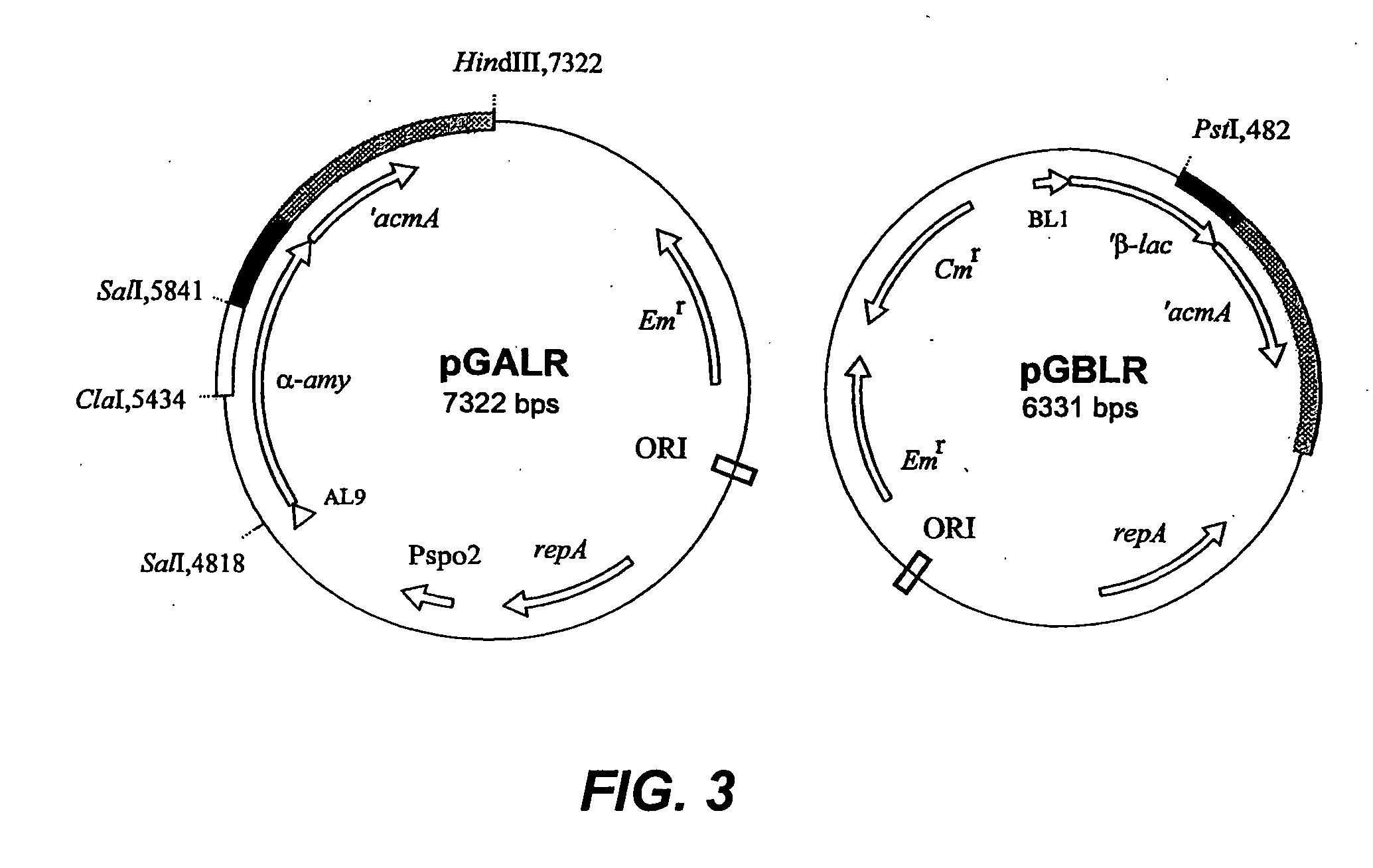 Attaching substances to microorganisms