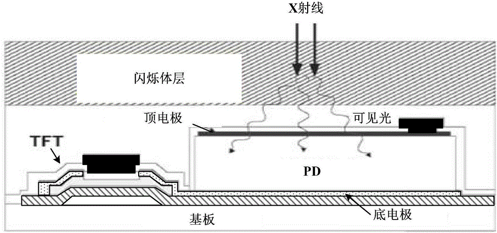 X-ray image sensor and method for eliminating image blur