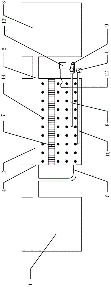 Pig farm sewage treatment system