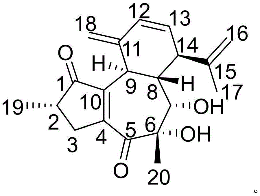 Azlocillin sodium drug composition and anti-aging function thereof