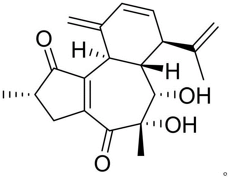 Azlocillin sodium drug composition and anti-aging function thereof