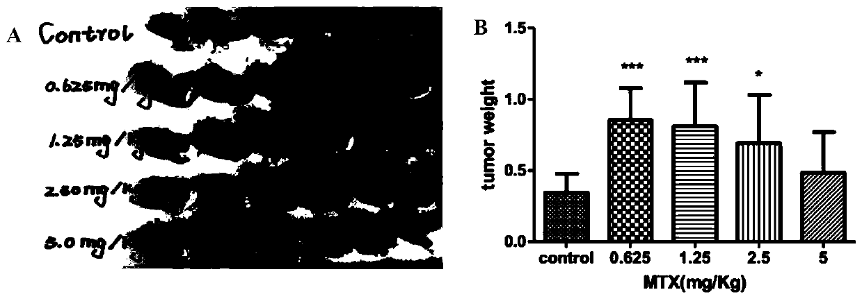 Application of cytotoxic anti-tumor drugs to preparation of tumor-related tissues