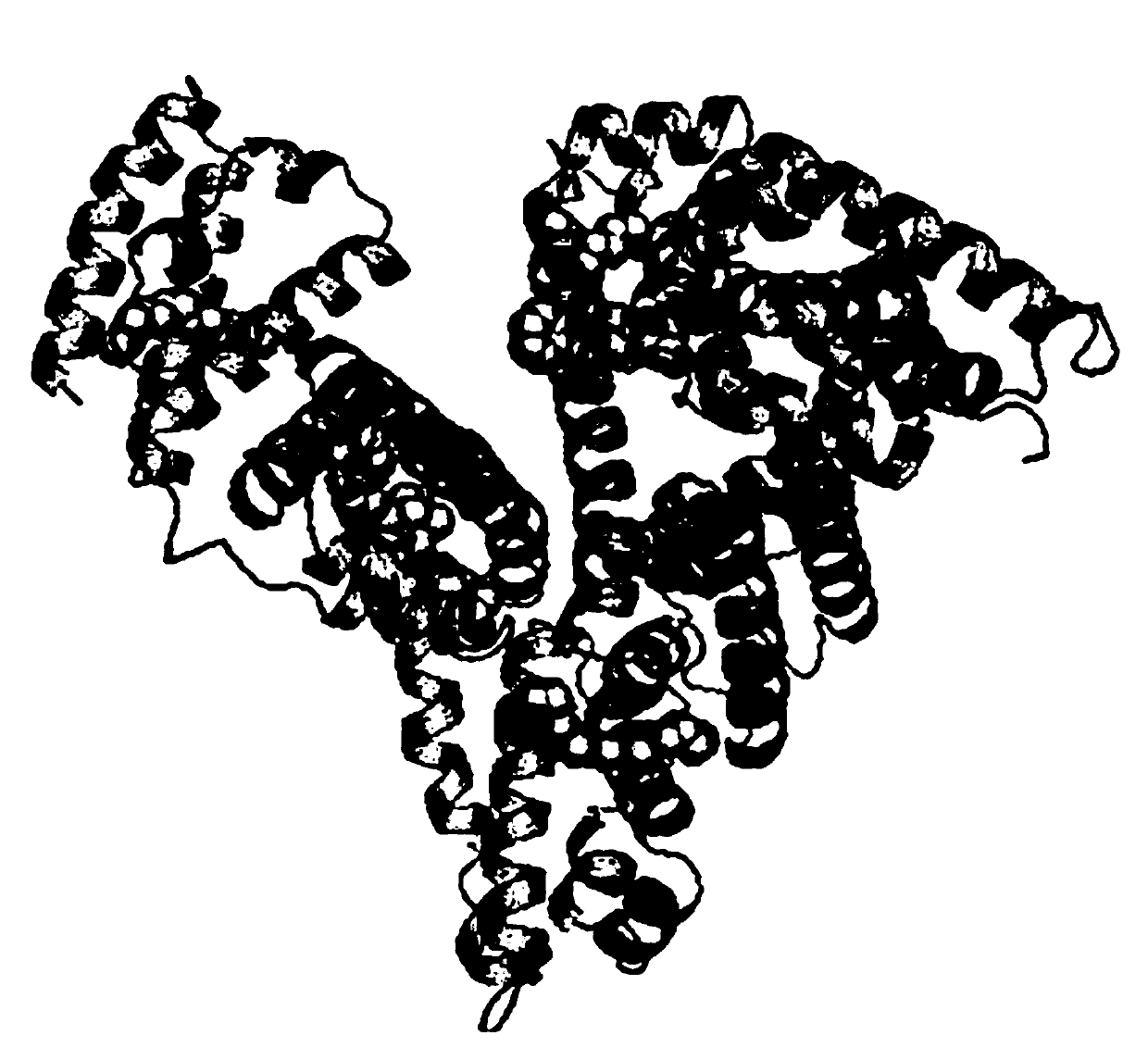 Preparation and application of human serum albumin-ruthenium inorganic medicine compound