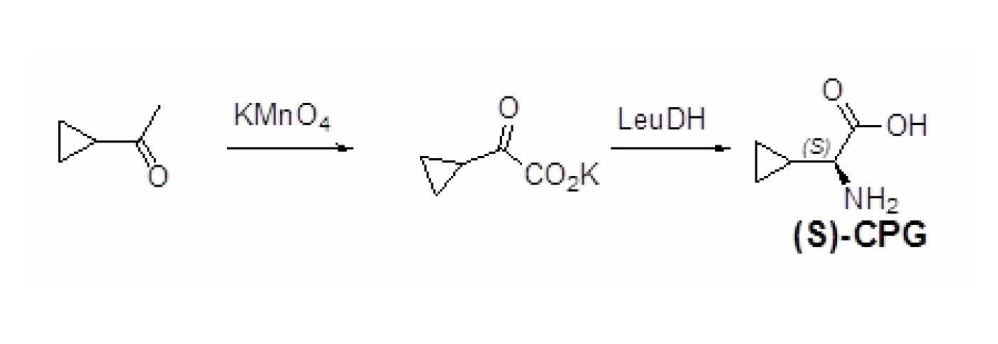 Method for preparing (S)-2-aminocyclopropylacetic acid