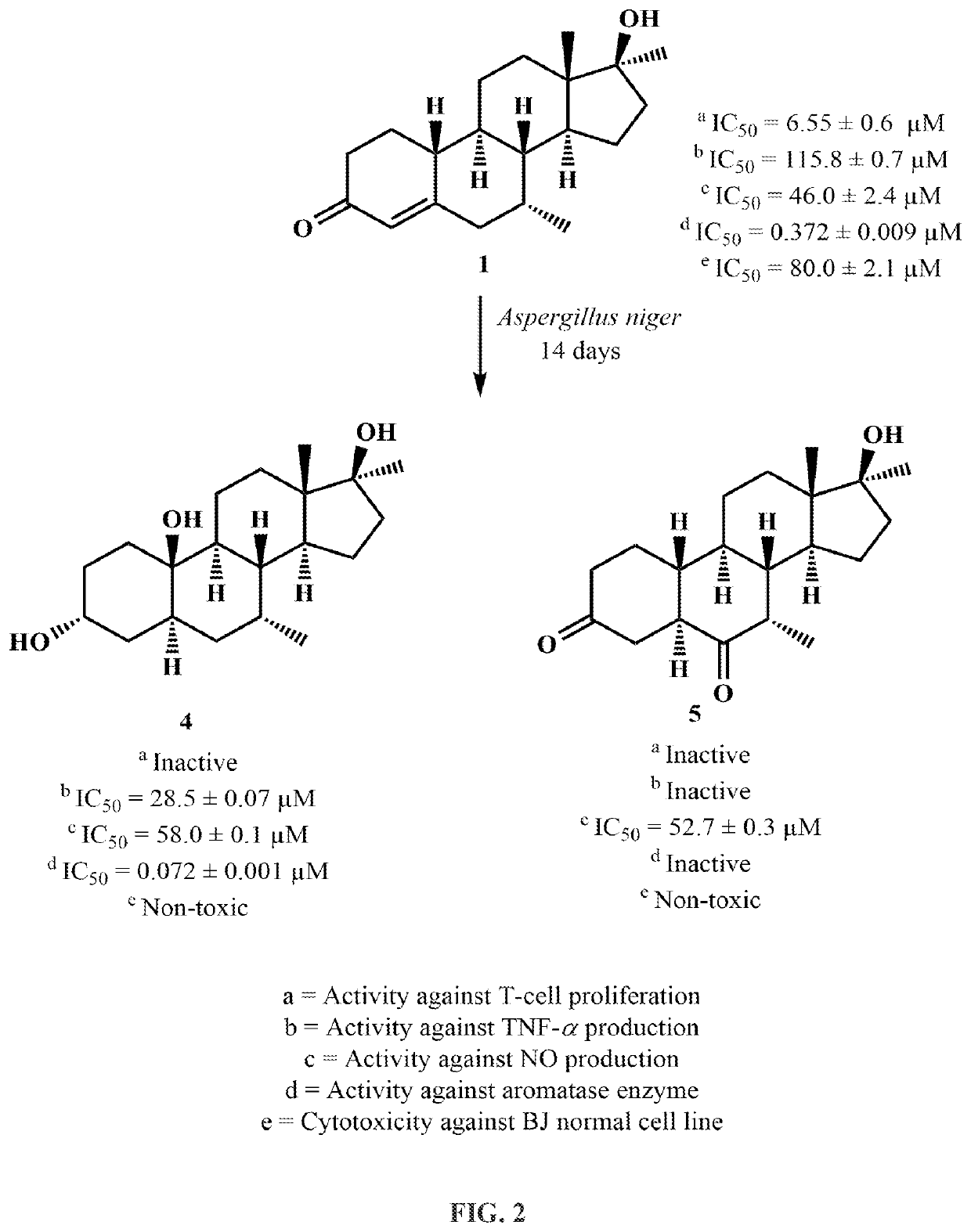 Synthesis of Anti-inflammatory and Anti-cancer Agents through Fungal Transformation of Mibolerone