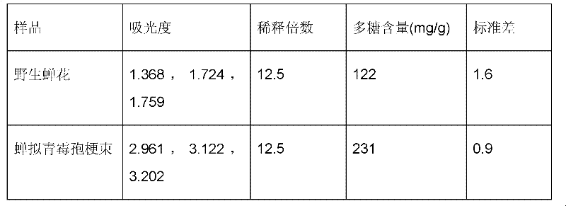 Method for artificially culturing paecilomyces cicadae and application of culturing product thereof