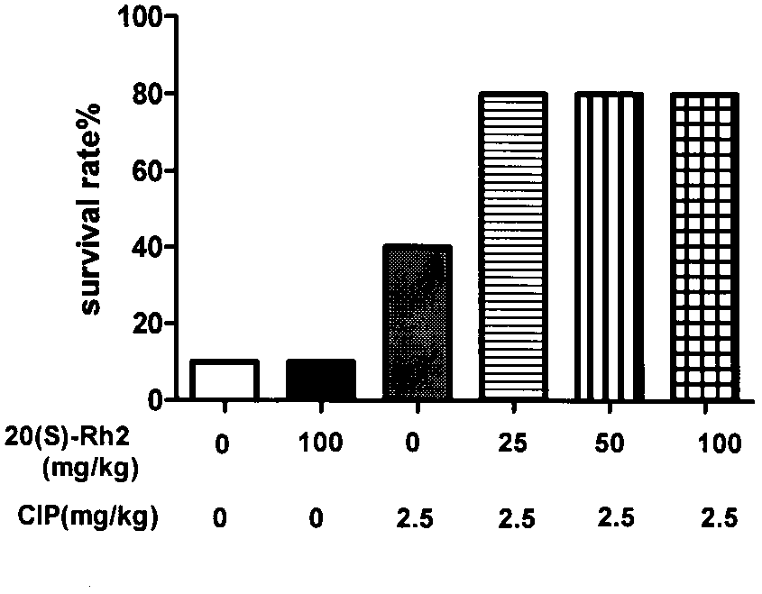 Application of 20(S)-ginsenoside Rh2 in preparation of drugs enhancing antibacterial action of 4-quinolones