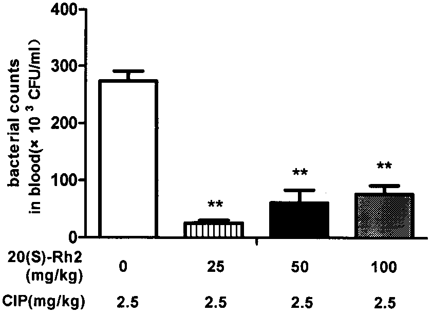 Application of 20(S)-ginsenoside Rh2 in preparation of drugs enhancing antibacterial action of 4-quinolones