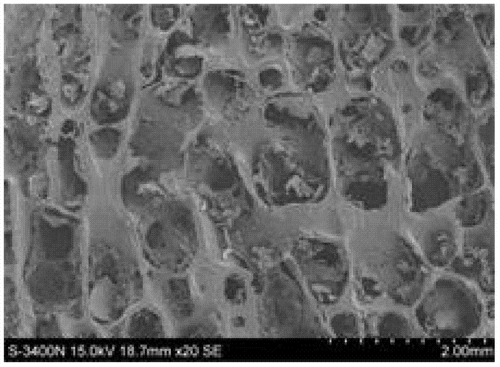 Bone matrix material containing various proteins secreted by umbilical cord mesenchymal stem cells and preparation method thereof