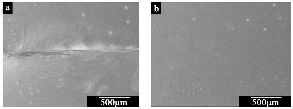 Self-repairing material and preparation method thereof