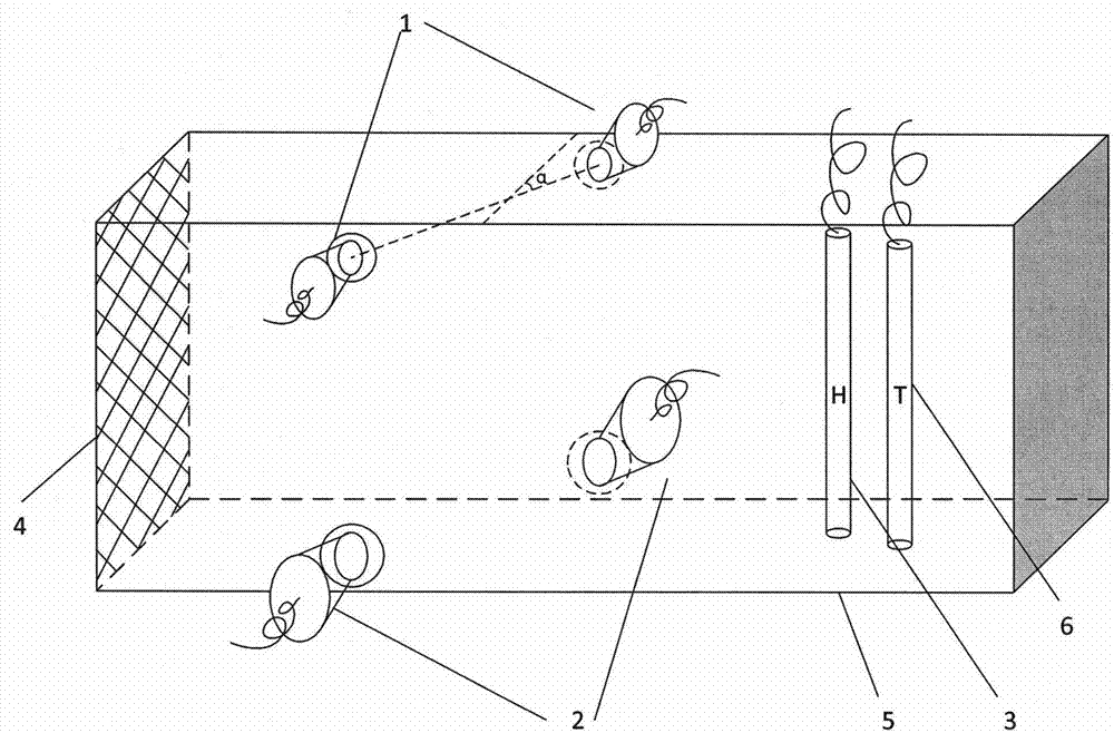 Wellhead gas-liquid two-phase flow metering method and device