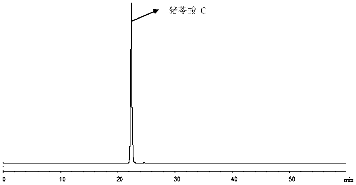 A kind of method that prepares polypolic acid C from poria cocos