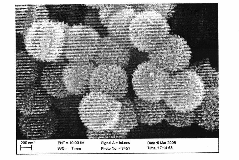 Preparation of polystyrene/polyaniline composite microsphere supported catalyst