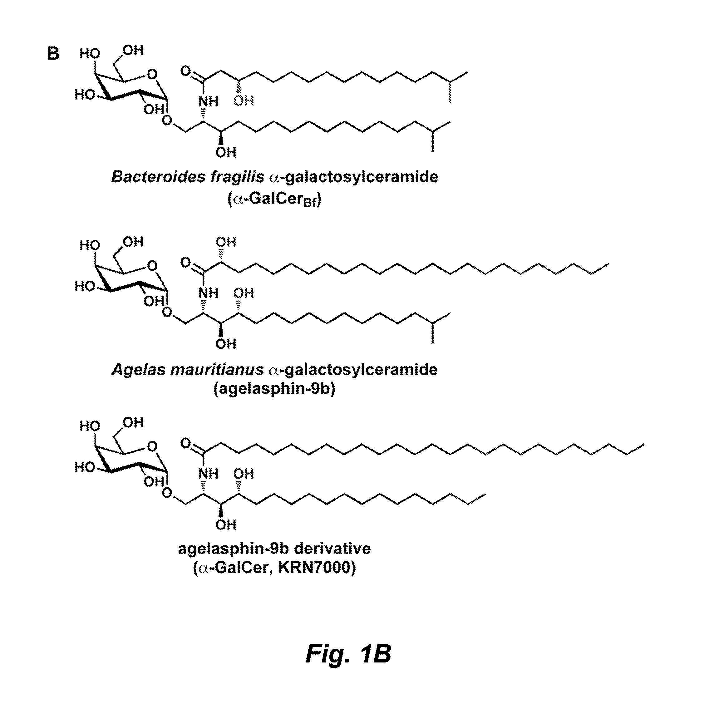 Glycosphingolipids for use in modulating immune responses