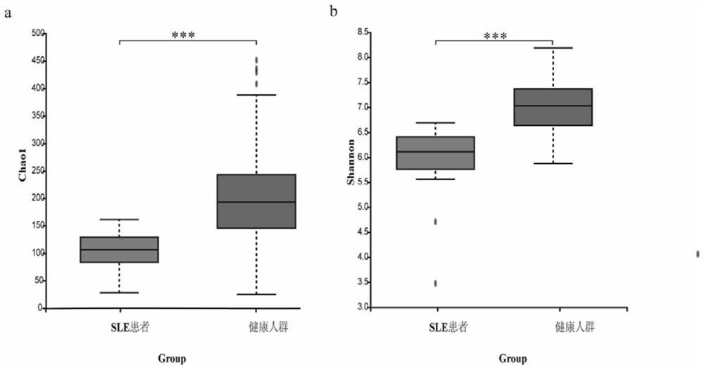 Enteric microorganism combination and application thereof as systemic lupus erythematosus marker