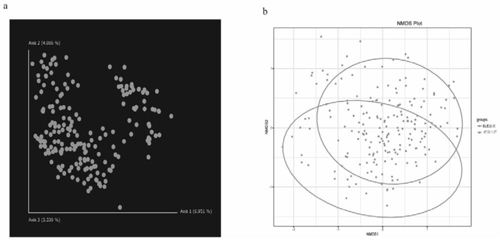 Enteric microorganism combination and application thereof as systemic lupus erythematosus marker