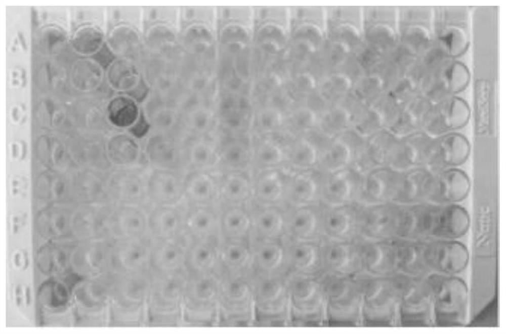 Isoelectric point standard substance for free flow electrophoresis