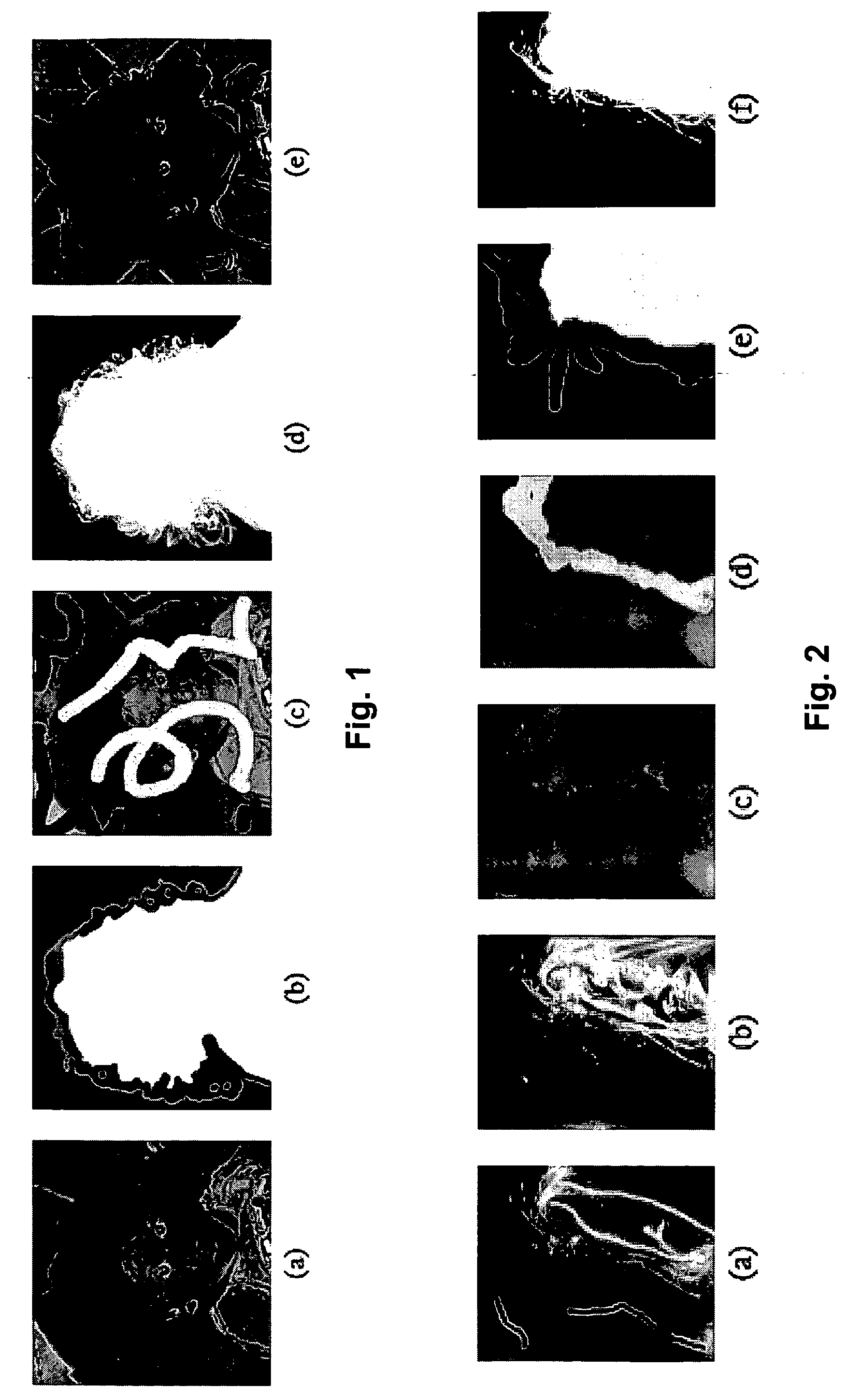 Closed form method and system for matting a foreground object in an image having a background