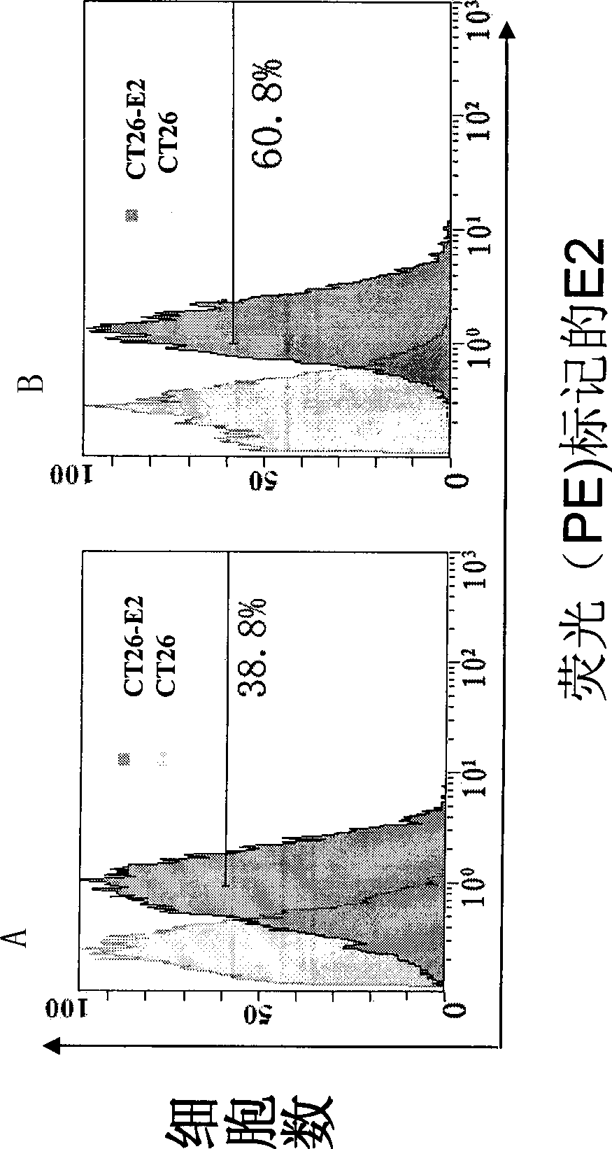 Small molecule nucleotide aptamer medicament for hepatitis C virus, preparation and use