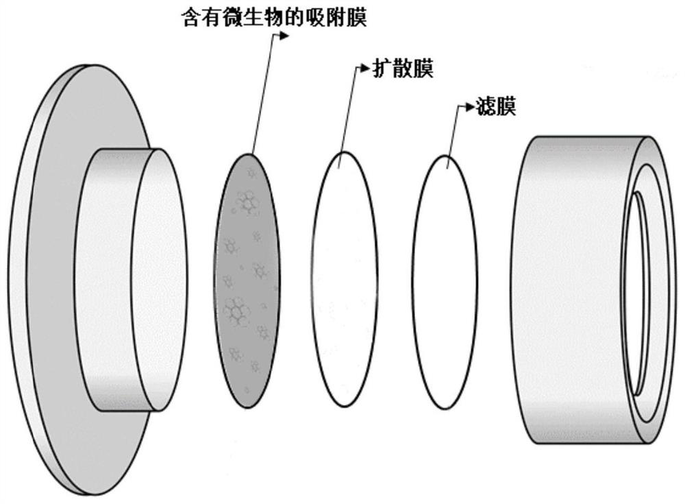 Adsorption film for biofilm DGT device, preparation method and application